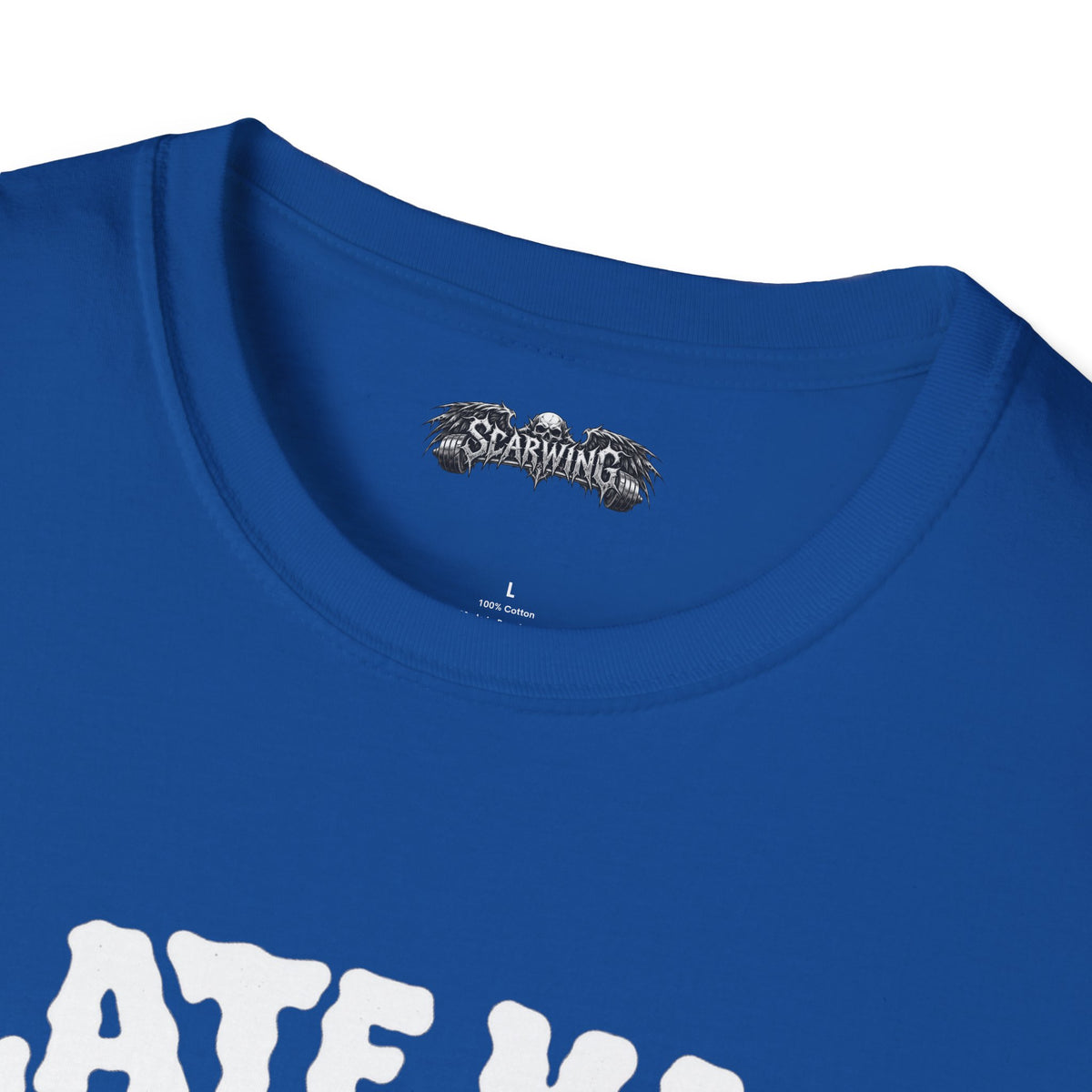 plate math Scarwing shirt