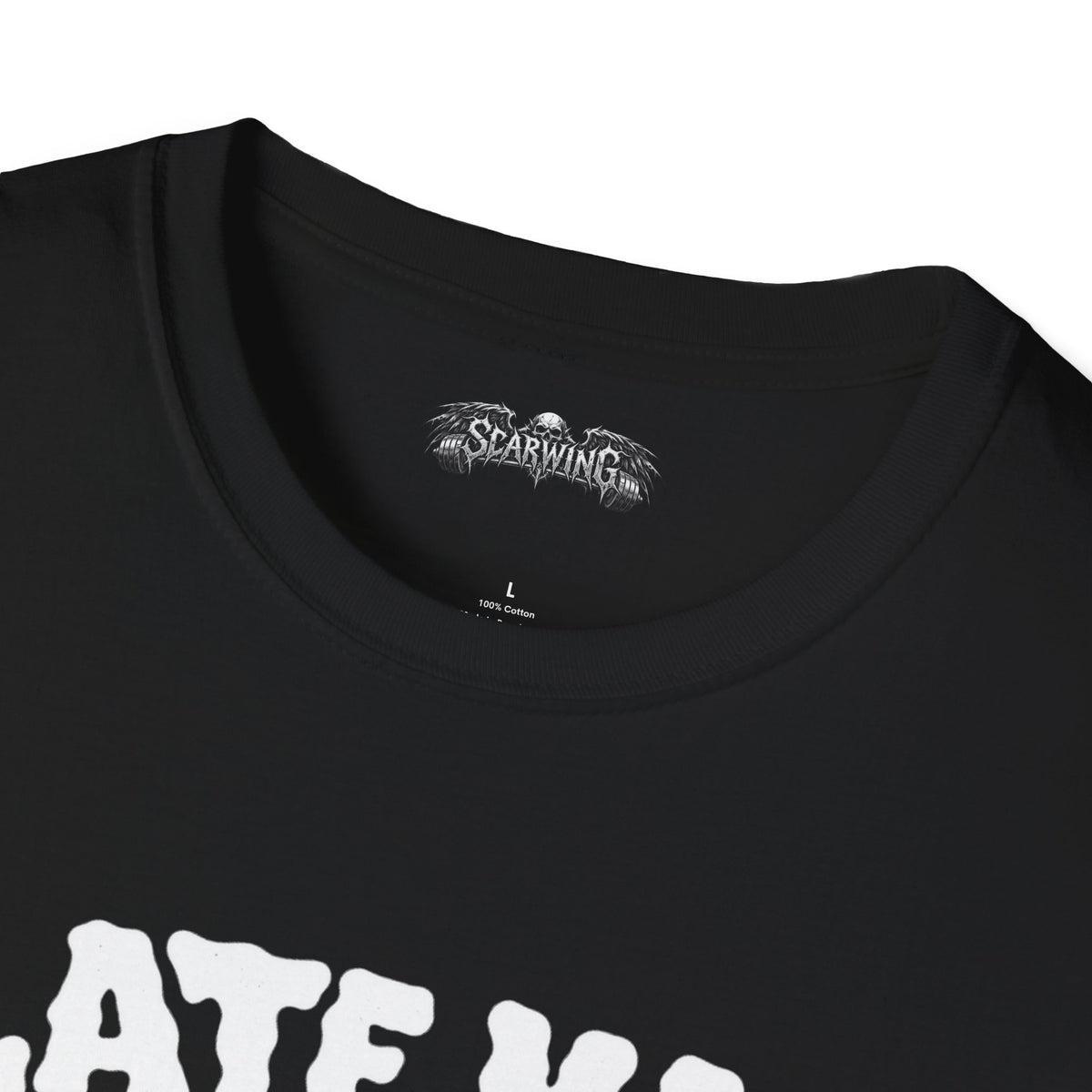 plate math Scarwing shirt