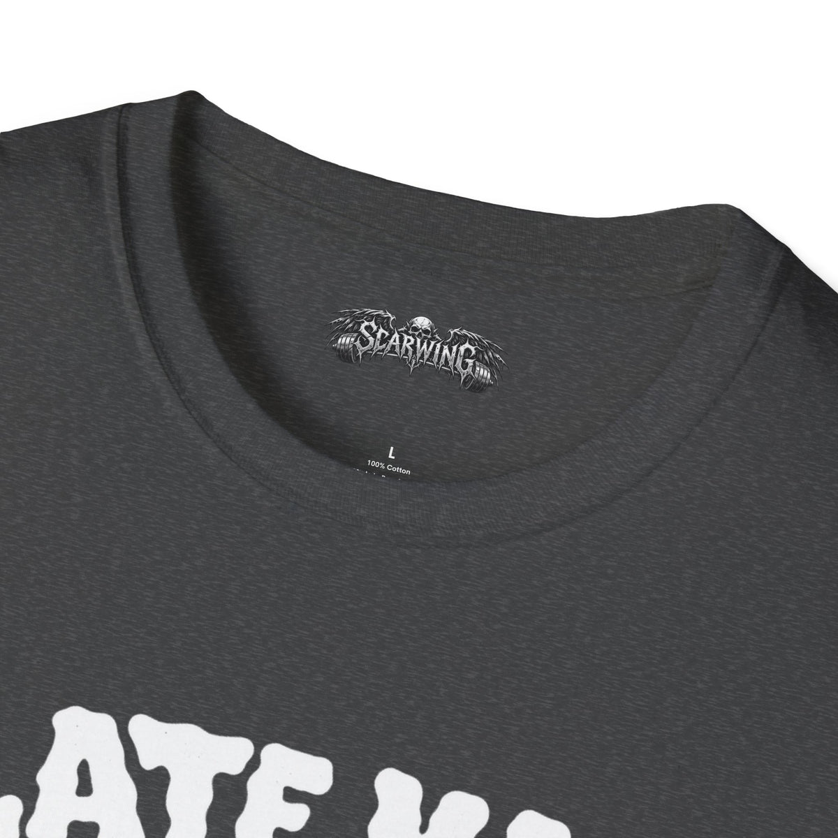 plate math Scarwing shirt